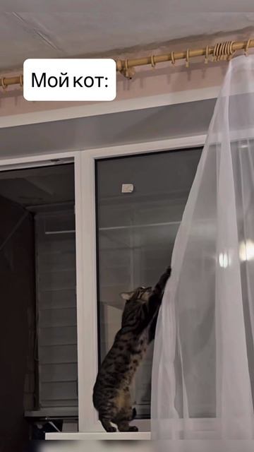 Не ну а че 