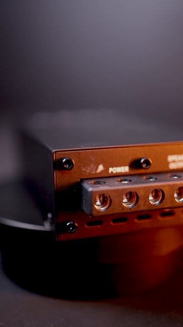 Моноблок DL Audio Gryphon Lite 1.500