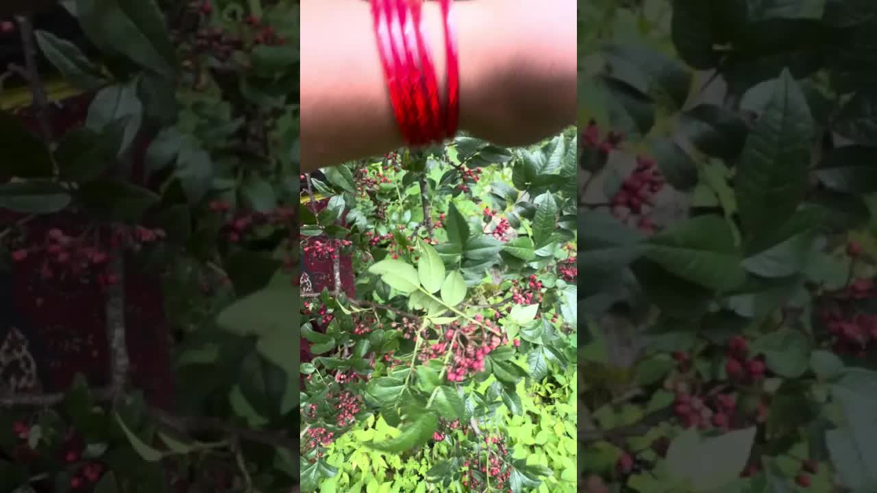 Деревенская жизнь