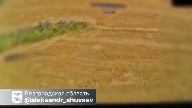 работает Барс-Белгород. август 2026
