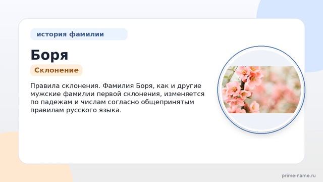 История фамилии Боря: происхождение значения и правильное склонение