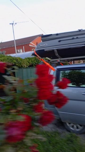 1000172275.mp4