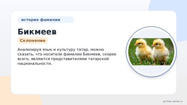 Фамилия Бикмеев: происхождение, значение и склонение
