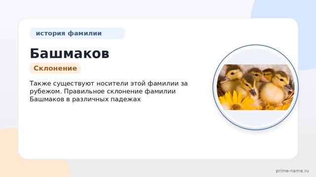 Фамилия Башмаков: происхождение значение и склонение