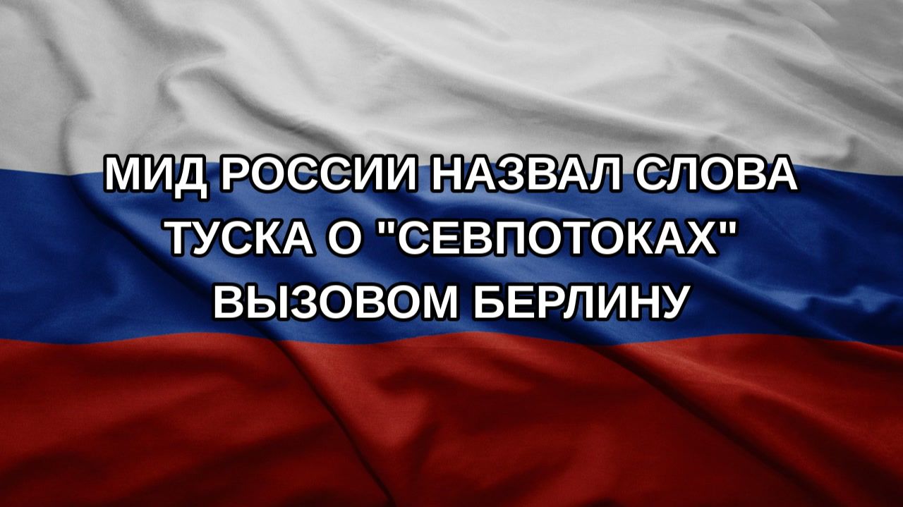 МИД России назвал слова Туска о Севпотоках вызовом Берлину