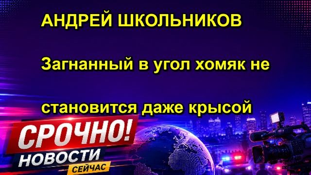 АНДРЕЙ ШКОЛЬНИКОВ Загнанный в угол хомяк не становится даже крысой