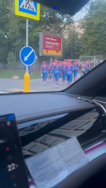родственники человека паука