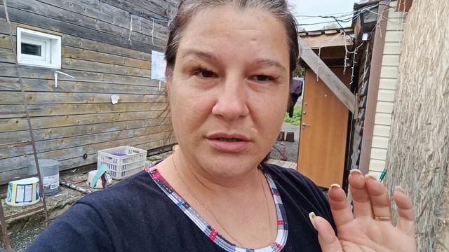 Сегодня погода без дождя