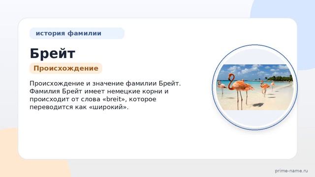 Фамилия Брейт: происхождение значение и склонение