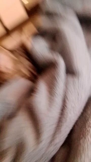 1000009737.mp4