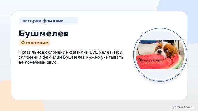 Фамилия Бушмелев: происхождение значение и склонение