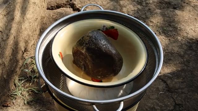 Настоящая деревенская жизнь: наша корова каждый день дает целые ведра свежего молока. Pure Village