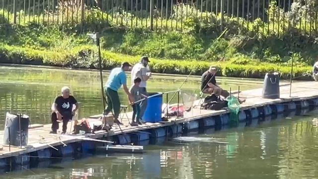 Карпуша с переходного