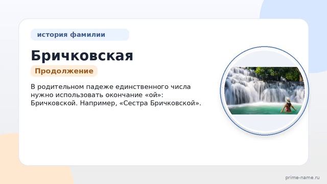 Фамилия Бричковская: происхождение значение и склонение