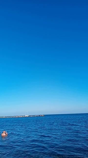 Чайка  над морем носится...