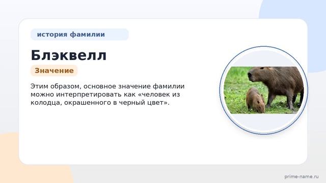 Фамилия Блэквелл: происхождение значение и склонение