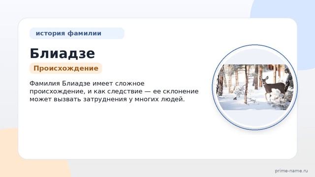 Фамилия Блиадзе: происхождение значение и склонение