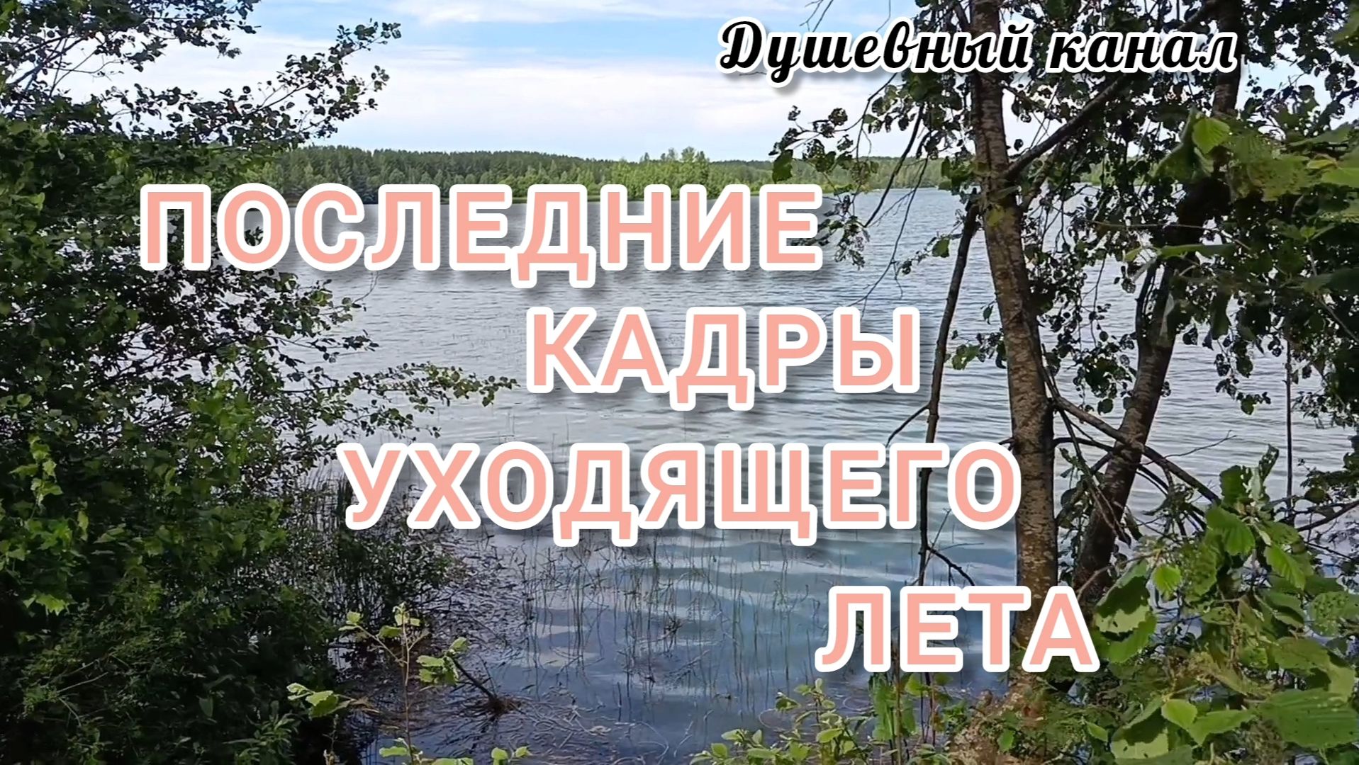 ПОСЛЕДНИЕ КАДРЫ УХОДЯЩЕГО ЛЕТА