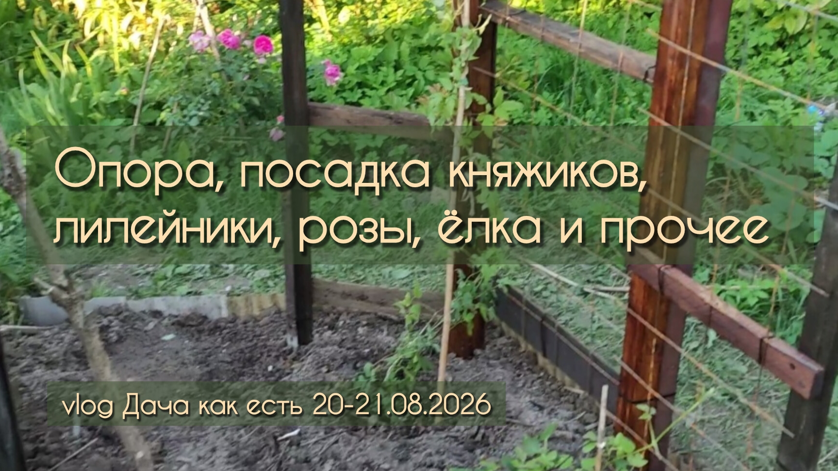 Поставила опору посадила княжики разобралась с лилейниками  vlog Дача как есть 20-21.08.2026