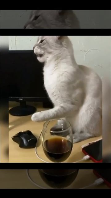Фу ну и как же вы пьёте эту гадость