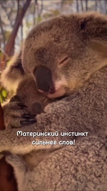 Обожала спать у мамы под крылышком. Это чувство на всю жизнь. детствоэто любовьмамина мамавдекре