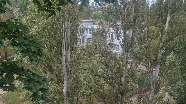 ДОБРОЕ УТРО ДРУЗЬЯ