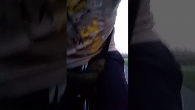 прокат на велике