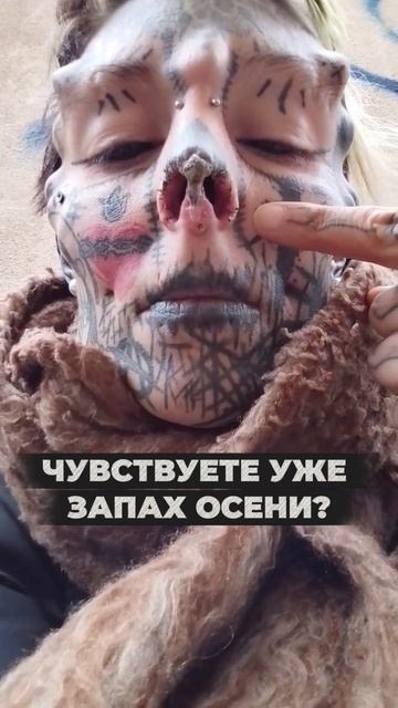 Где то уже настраивает гитару Михаил Шуфутинский 
