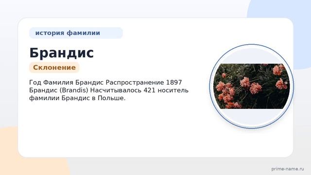 Полная история фамилии Брандис: происхождение значения и правильное склонение.