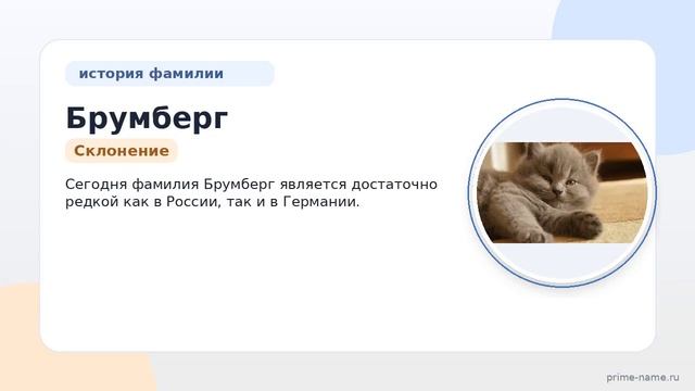 Фамилия Брумберг: происхождение значение и склонение