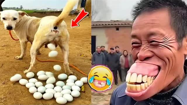 Попробуй не засмеяться - Самые смешные видео и вирусные мемы 2026 часть 3