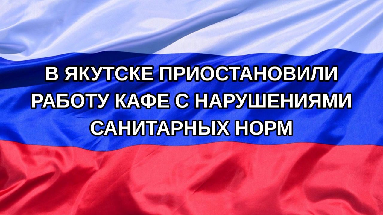 Н. РФ В Якутске приостановили работу кафе с нарушениями санитарных норм