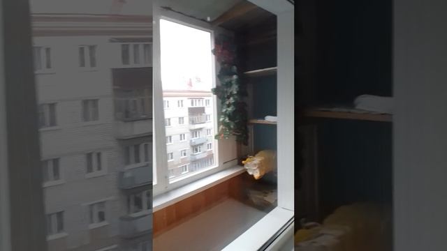 ролик