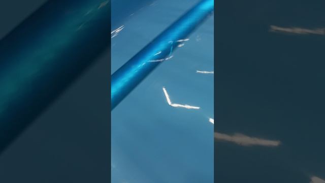 1000022161.mp4