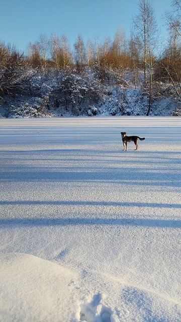 VID_20251116_154910