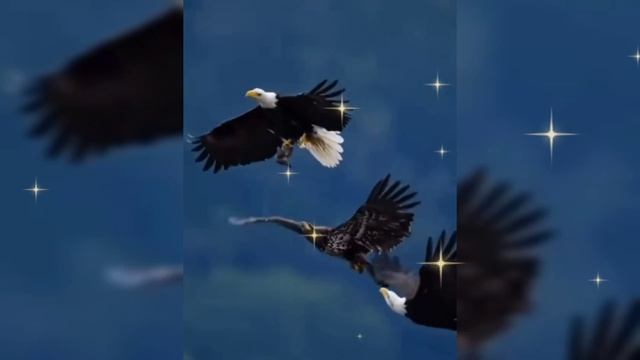 СИЛЬНЫЕ ТОЖЕ УСТАЮТ. Песни для души.