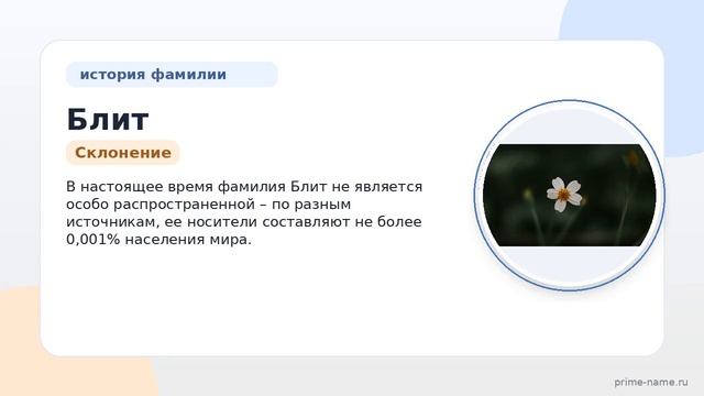 Фамилия Блит: происхождение значение и склонение