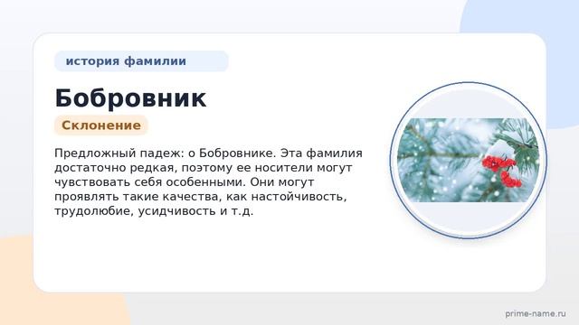 Фамилия Бобровник: происхождение значение и склонение