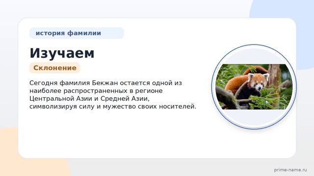 Изучаем историю и значение фамилии Бекжан: склонение и происхождение семейного имени