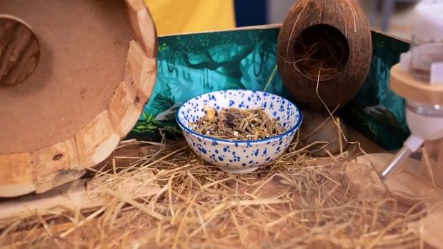 Смехугарслёзы юморвеселье