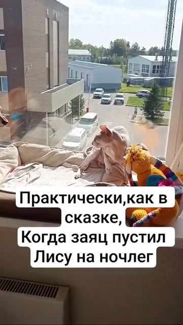 Как в сказке про зайца и лису.