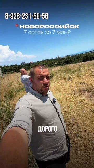 Как вам такое предложение?
