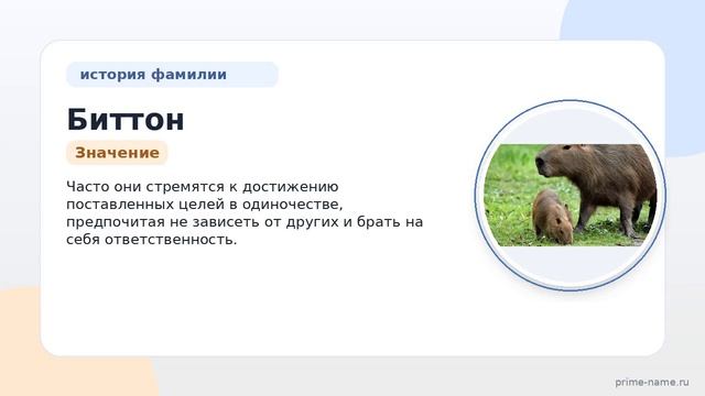 Фамилия Биттон: происхождение значение и склонение