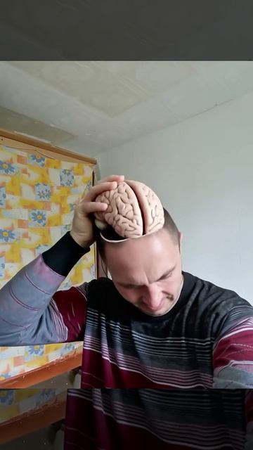 Стейси