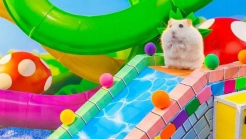 🍟🍧 Хомяк в лабиринте с шариками!🐹