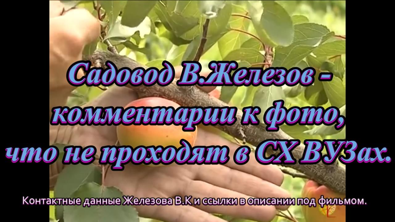Садовод В.Железов - комментарии к фото  что не проходят в СХ ВУЗах.