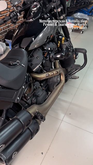Harley Fat Bob 2024 из Чебоксар на прошивку