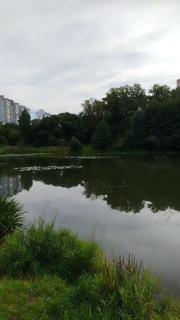 красота 
