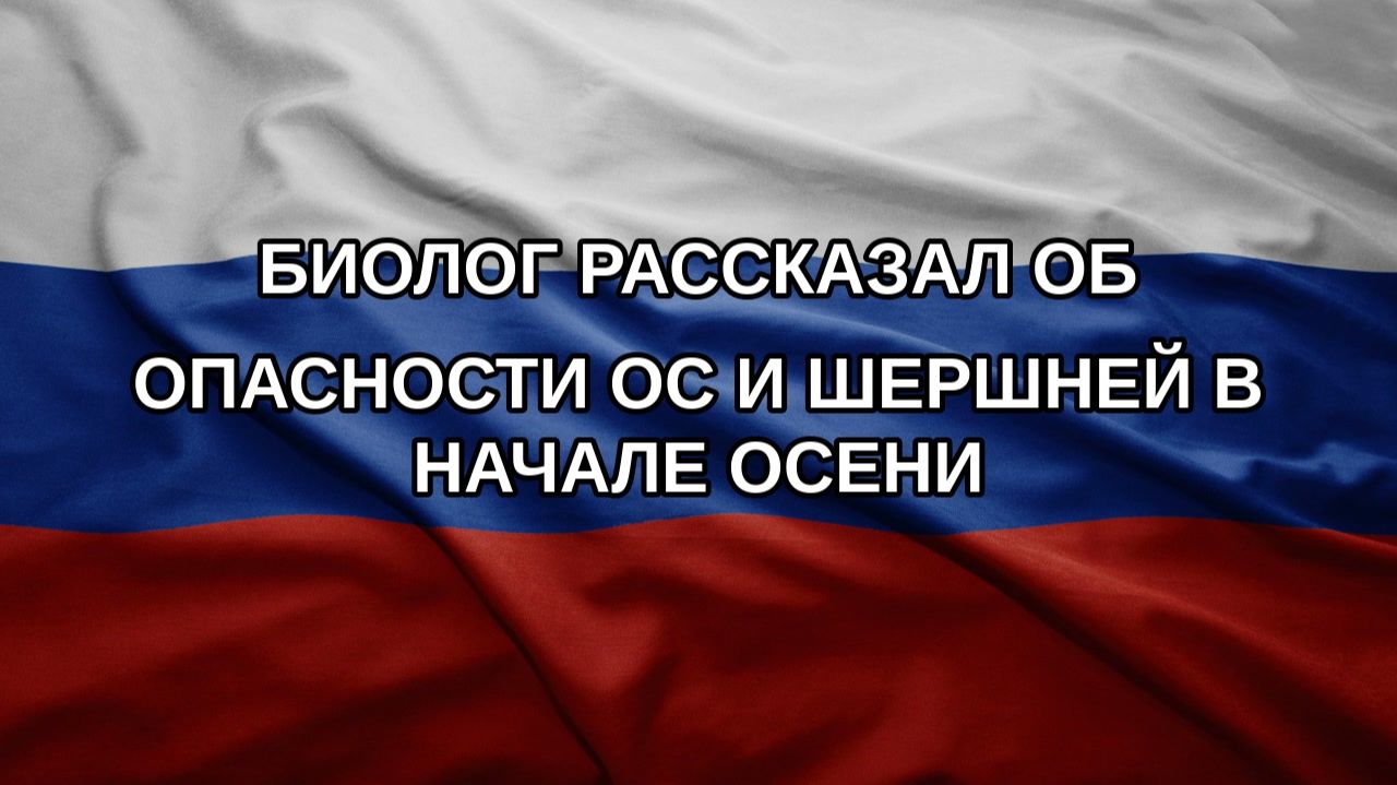 Биолог рассказал об опасности ос и шершней в начале осени