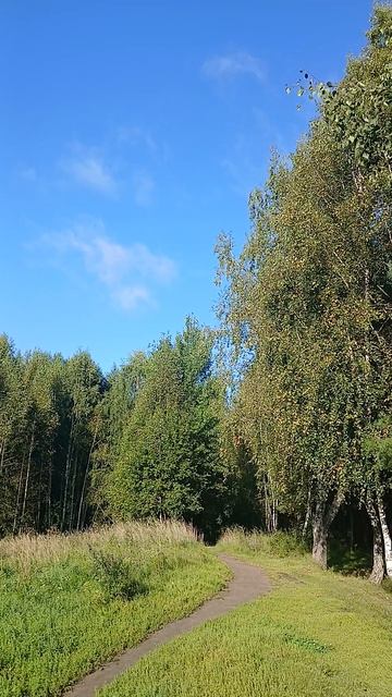 Я АВГУСТ  ПЬЮ  ГЛОТКАМИ КАК  ВИНО...